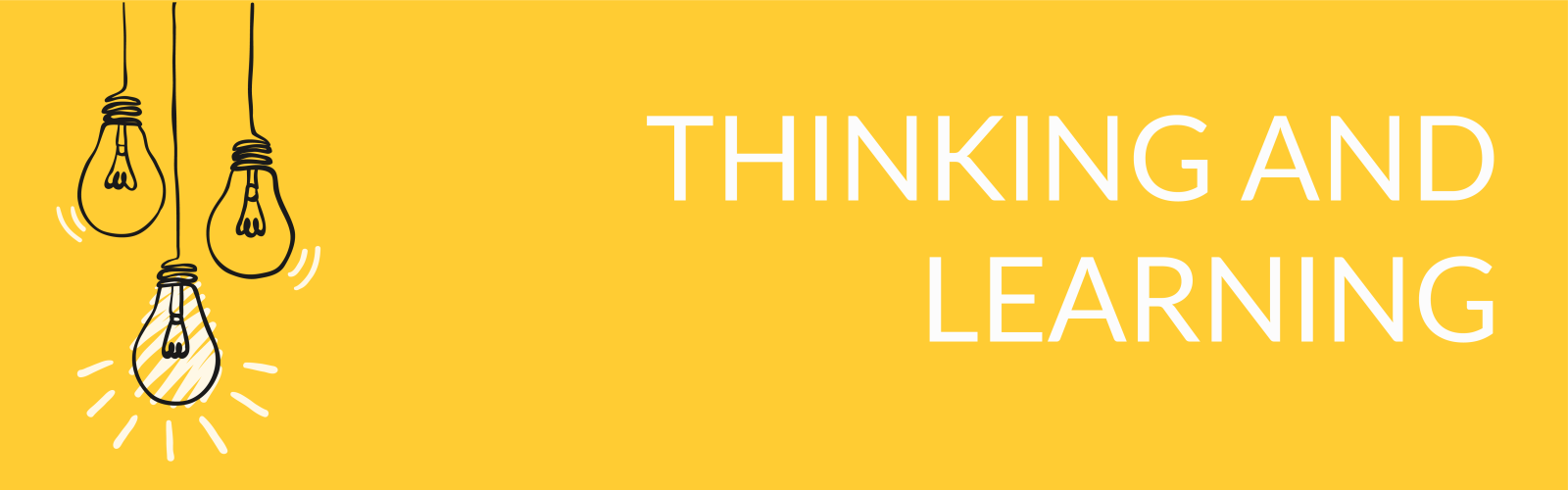 course header with the words thinking and learning with light bulbs on the left side of the image