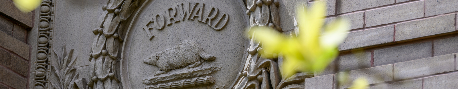 Stone carving on a building featuring a Badger and the word "Forward"