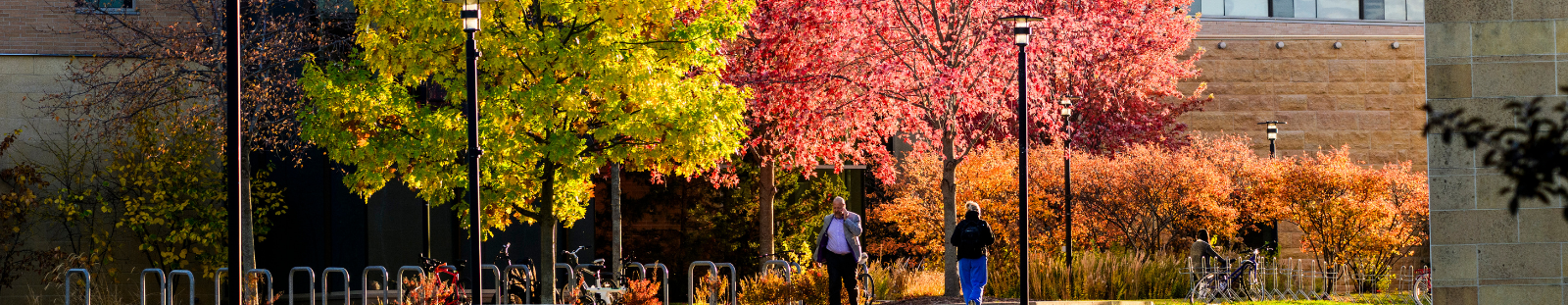Yellow, red, and orange leafed trees on UW Madison campus